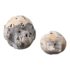 Bleached Wood Sculpture Orbs, Set of Two