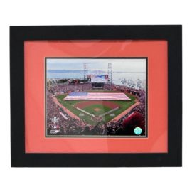 San Francisco Giant's World Series Champions at At&t Park