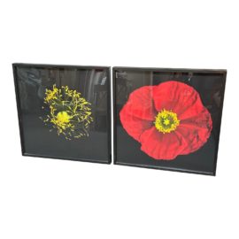 l'Lee Hooker Limited Edition Red Iceland Poppy Photography, a Pair. Original Price: $2,000