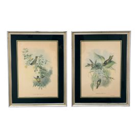 British Artist John Gould's "A Monograph of the Trochillidae", a Pair