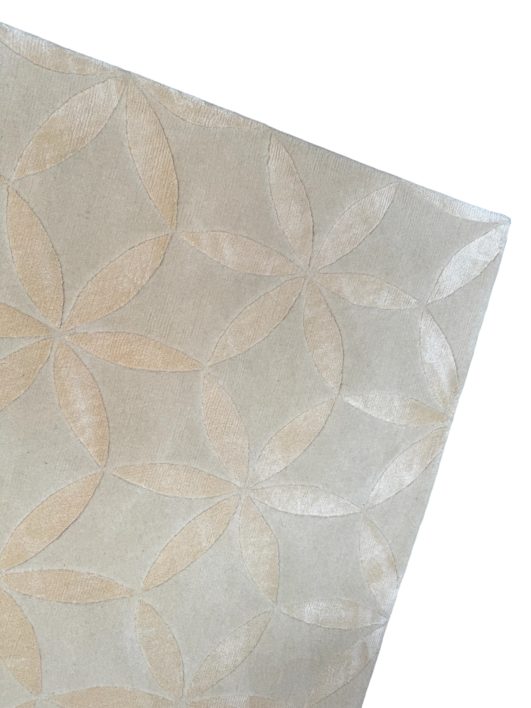 Photoroom_001_20240218_143757