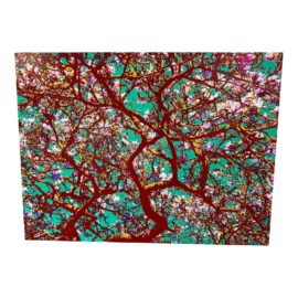 2018 Dan McGarrah "Winsome" Archival Paper Print on Sintra Back With Metal Frame