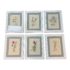 Fresh Botanical Watercolor Drawing Original Artwork, Set of Six