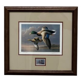 1995-1996 Federal Duck Stamp Print by James Hautman