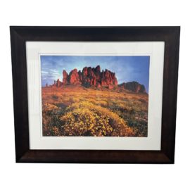 John Gavrillis "Superstitions in Bloom" Custom Framed Photo