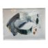 Four Hands "Carbon" Reproduction Print by Beth Winterburn