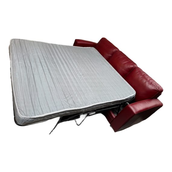 Photoroom_20240815_143629