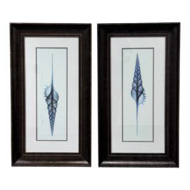 Coastal Watercolor of Spiral Seashells Prints , a Pair