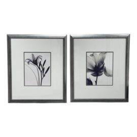 Black & White Floral Framed Prints, a Pair