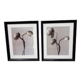 Custom Framed Signed Poppies Prints, a Pair