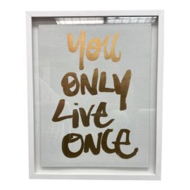 Restoration Hardware Teen Art Print "Y. O. L. O." Framed