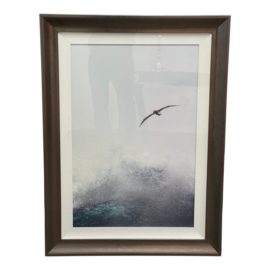 Robert Salisbury Knight "Soul Searching" Photography. Original Price: $5,000