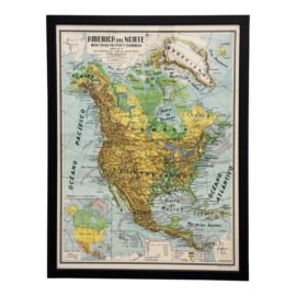 Rare Antique Maps North America by Horacio Ureta Martinez