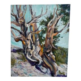 Circa 2009 Bonnie Mager, "Bristle Cone Outlook" Painting