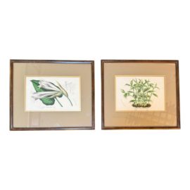 Vintage Japanese Botanical Prints Framed, a Pair