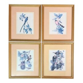 Vintage Style Bird Prints Set of Four