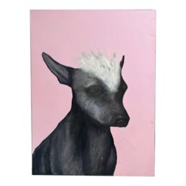 Portrait of a Xoloitzcuintli Oversized Canvas Original Art