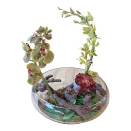 Constance Lael-Linyard for Uttermost Faux Botanical Decorative. Original Price: $415