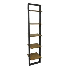 West Elm Ladder Leaning Bookshelf. Original Price: $200