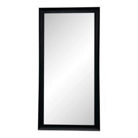 Contemporary Leaning/Hanging Full Length Mirror