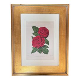 Custom Framed Duchess of Bedford Floral Print