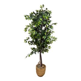 Decorative Faux Ficus Tree + Wicker Planter
