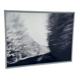 Abstract Tree Line Reproduction Print, Framed