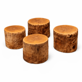 Organic Modern Live Edge Tree Side Tables/Stools, Set of Four