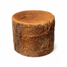 Organic Modern Live Edge Tree Side Table/Stool