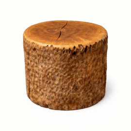 Organic Modern Live Edge Tree Side Table/Stool
