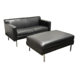 Ted Boerner for Design Within Reach Theatre Sofa + Ottoman Set. Original Price: $7,800