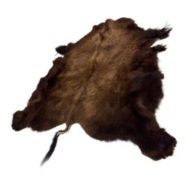 6ft 8in × 8ft Buffalo Pelt, Winter Woolly
