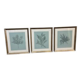 Soicher Marin Gallery Blue Ocean Coral Prints, Set of Three. Original Price: $2,600