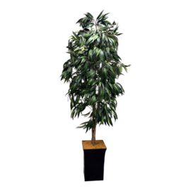 Faux Mango Tree + Tapered Black Planter