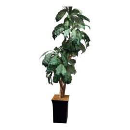 Faux Bird Nest Palm + Black Tapered Planter