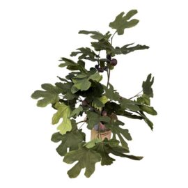Faux Fig Tree in Ceramic Pot