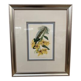 Louis Van Houtte's Orchid Botanical Print, Framed