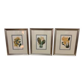 Yellow Botanical Art Prints, Set of Three