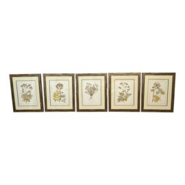 Lussier Lajoie Framing Botanical Prints, Set of Five. Original Price: $2,500
