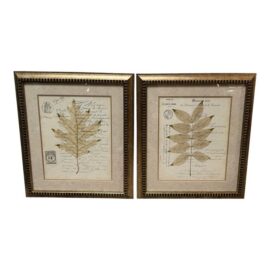 Botanical Collection Plates, Set of Two