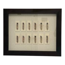 Chinese Zodiac Stamp Stone Shadow Box