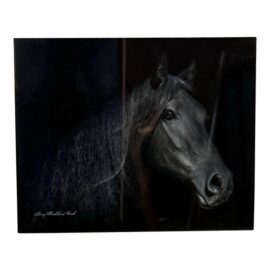 Terry Kirkland Cook Friesian Ster Mare Brechtsje Acrylic Print