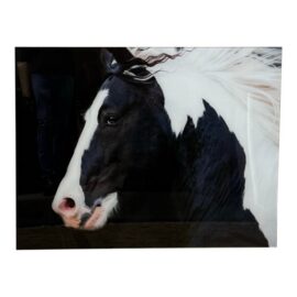 Terry Kirkland Cook Black and White Study Acrylic Print