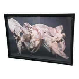 Sølve Sundsbø Invitation À La Danse No. 91 Floating Mount Photograph, Framed