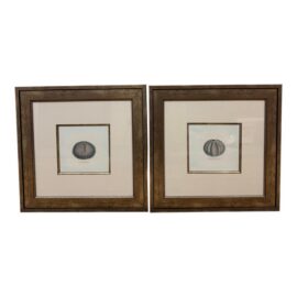 Paragon Echinus Esculentus I & II Art Prints, Set of Two