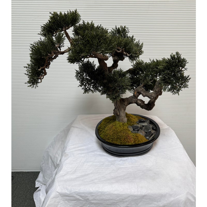 Artificial Cedar Bonsai Tree in Planter - Design Plus Gallery