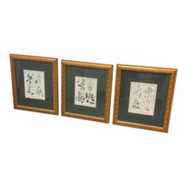 W. King Ambler Antique Botanical Engravings, Set of Three