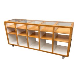 Bespoke Retail Display Case on Casters