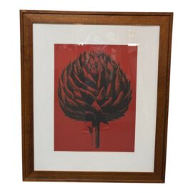 Botanical Series Artichoke Ten Print, Framed