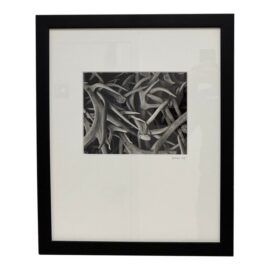 Contemporary Antler Study Photograph, Signed